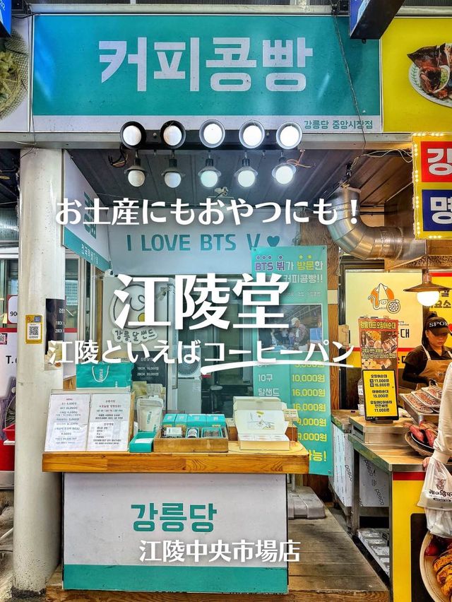 【韓国地方旅】江陵よくばりバスツアー‼️感動のロケ地巡り！グルメもカフェも！