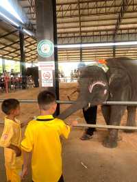 ย้อนเวลาไปเที่ยวสุรินทร์ 🐘🐘