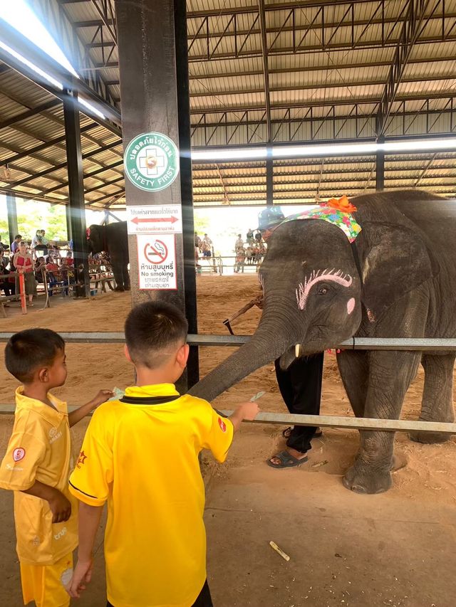 ย้อนเวลาไปเที่ยวสุรินทร์ 🐘🐘
