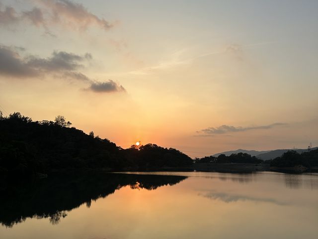 迷人的水塘與白千層，踏上城門水塘之旅
