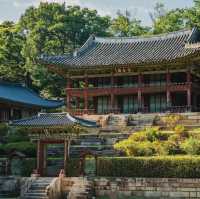 Enjoy a tranquil walk in Changdeokgung Palace