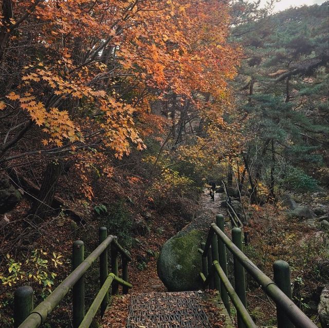 Autumn hiking and foliage viewing at Bukhansan