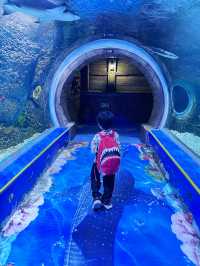 打卡必度海底隧道🐬🐟🐠 10,000尺超大型水族館❤️