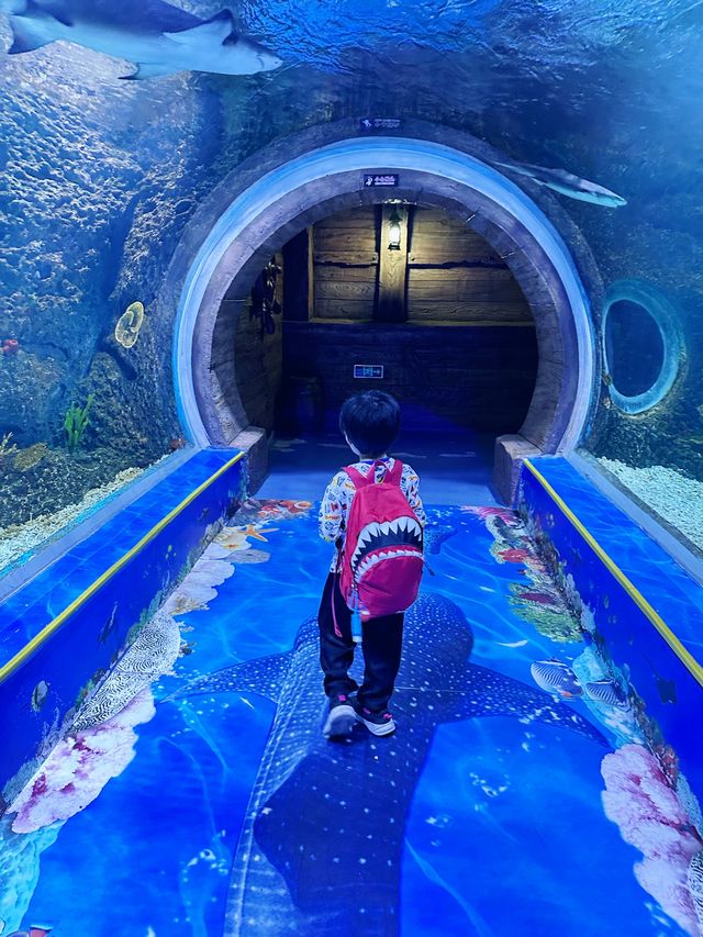 打卡必度海底隧道🐬🐟🐠 10,000尺超大型水族館❤️