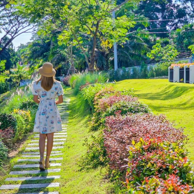 รับลมหนาว มารับโอโซนที่เขาใหญ่