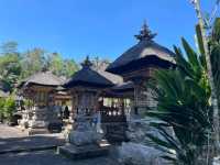 Purify at Tirta Empul