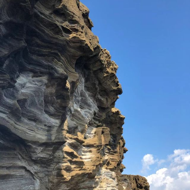 裏見瀑布 🌊🌳驚豔瀑布💦🏞️