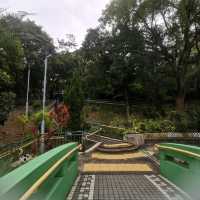 賽西湖公園:前身係七姊妹水塘