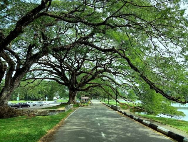 Taiping Lake Gardens