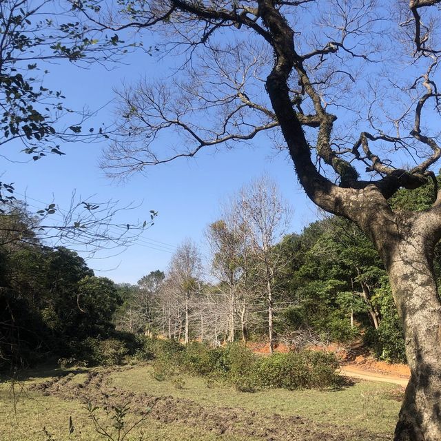 青馬美景步道
