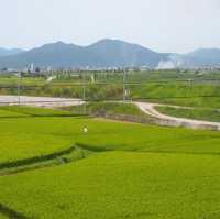 嵐山小火車🚄直達嵯峨🫣旅客🧳必到特色遊覽景點
