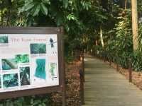Walk and chill at Botanic Garden, Singapore 🇸🇬