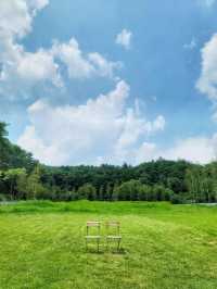 나만 알고싶지만 모두다 알았으면! 봉화 비진숲커피🌳