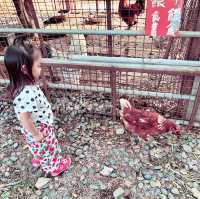 台中-益健牧場免門票的親子景點（免門票）假日限定