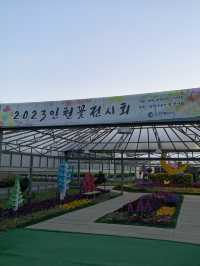 인천 다양한 봄꽃들을 보고 즐길 수 있는 꽃 전시회 [인천대공원_2023인천꽃전시회]