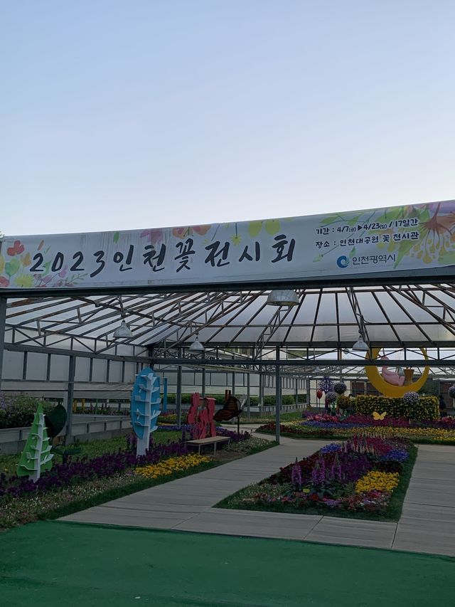 인천 다양한 봄꽃들을 보고 즐길 수 있는 꽃 전시회 [인천대공원_2023인천꽃전시회]