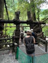 【徳島】秘境の祖谷にあるかずら橋