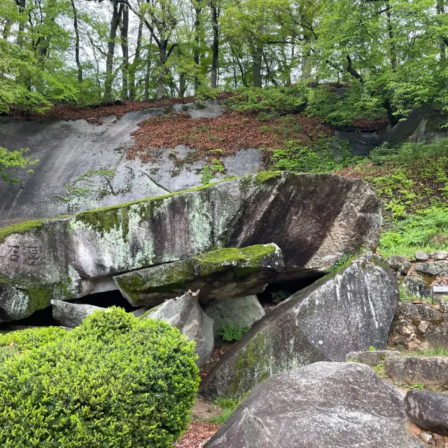 꽃들로 만발한 영주 부석사 산책