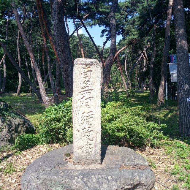 은빛 바다에 내리는 부처님에 아미타불 은해사다