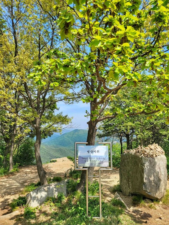 초록 가득한 힐링 한스푼🌿경주 최애여행코스💚