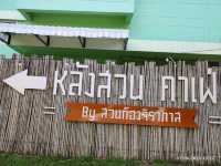 หลังสวนคาเฟ่