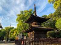 ศาลเจ้าชิริว 知立神社⛩️🏯