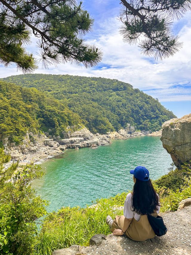 하이파이브와 함께한 부산 트래킹 💜