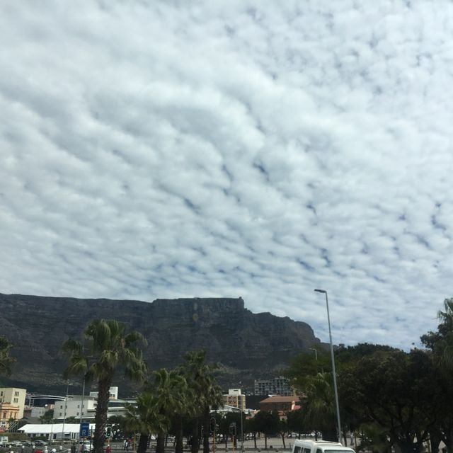 Table mountain - One of the must visit sights