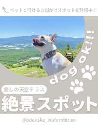 【長野】わんこと行ける絶景スポット🌿
