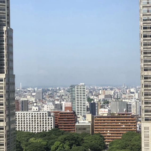 千挑萬選的酒店，就是這家東京京王廣場了