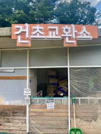 서울근교 가평 양떼목장!