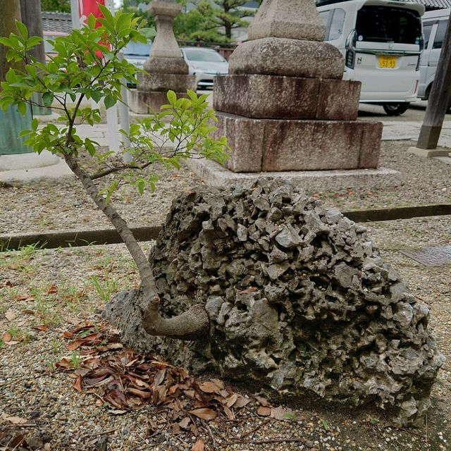 愛知旅行　業葉神社！（なりはじんじゃ）