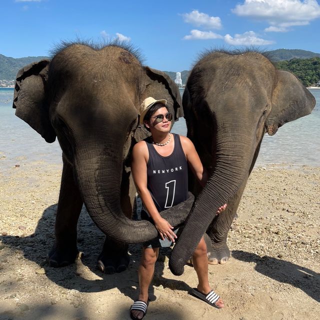 Elephant Swims @Lucky Beach, Tri Trang