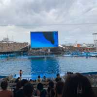 พิพิธภัณฑ์สัตว์น้ำท่าเรือนาโกย่า 名古屋港水族館