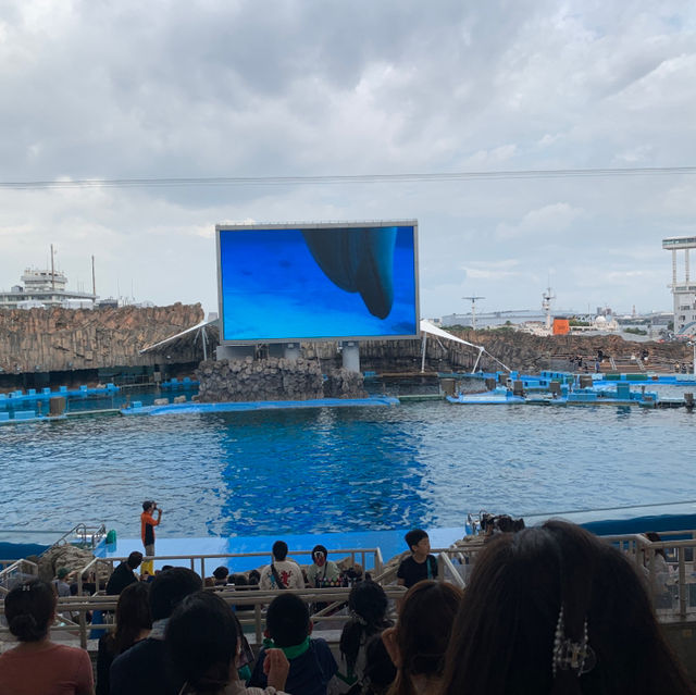 พิพิธภัณฑ์สัตว์น้ำท่าเรือนาโกย่า 名古屋港水族館