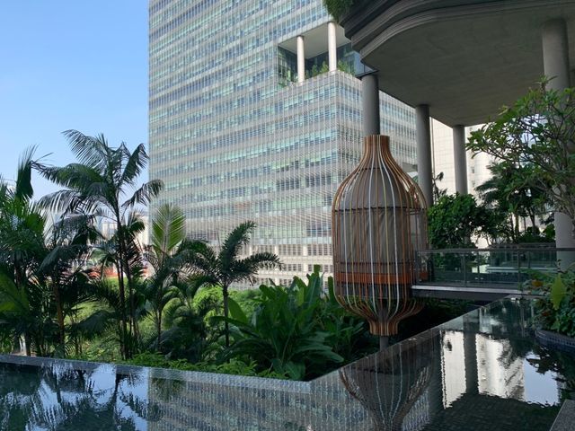 Pool in a Garden