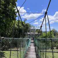 Healing with nature at Miri