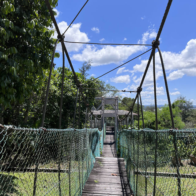 Healing with nature at Miri