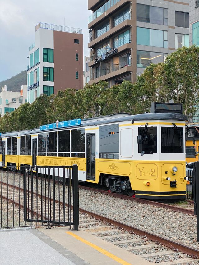 부산에서 가장 예쁜 겨울바다가 있는 곳🩵