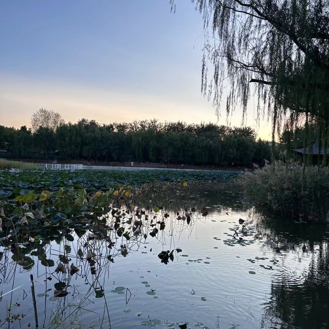 石正公園 🌳享受自然🌼🚴‍♀️