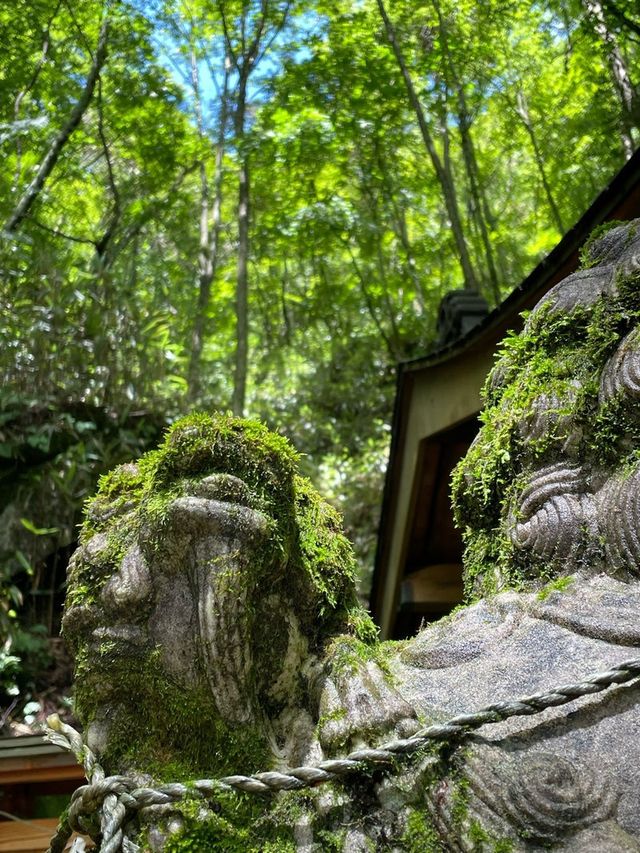 【山梨県/石割神社】2023年行ってよかった！山梨県の神社②