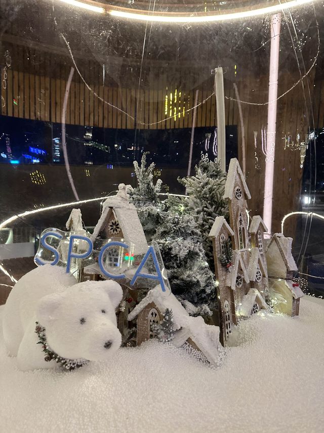 香港｜聖誕寵物Pet friendly市集🎄