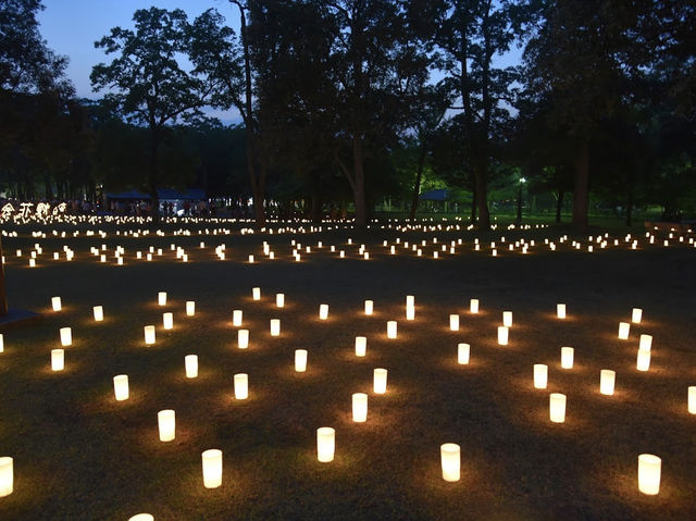 เทศกาลเทียนไขนาราโทคาเอะ Nara Tokae Festival