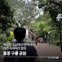 홍콩 구룡공원에서 즐기는 자연 속에서의 힐링 🌴