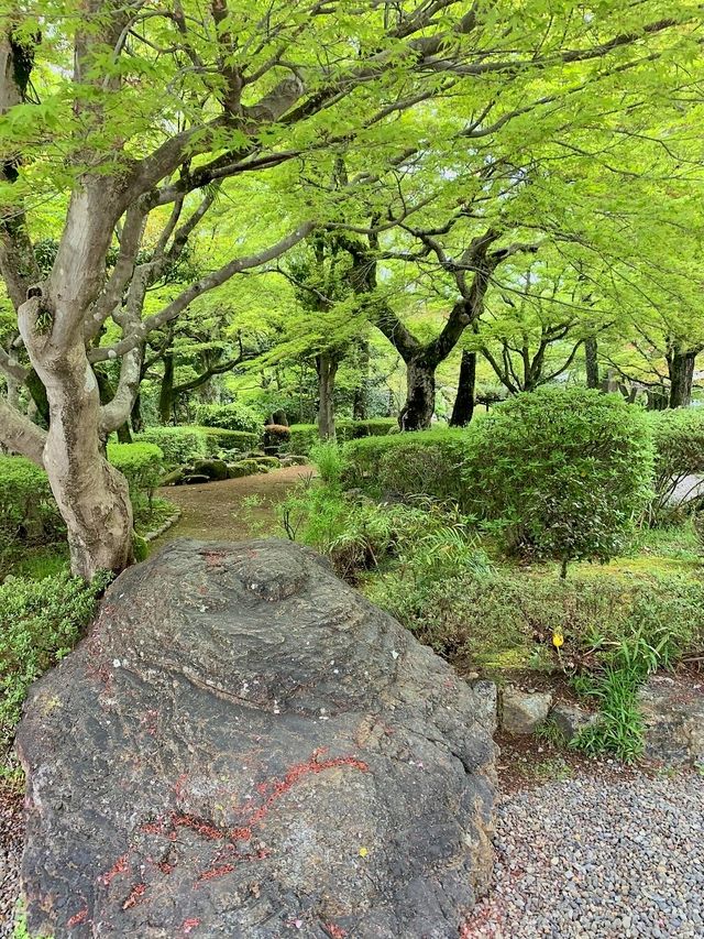 Gifu Park