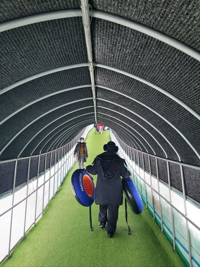어른이도 신나는 하루종일 무제한 썰매타기❄️