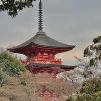 Favourite temple visit - Kiyomizu-Dera