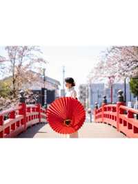 たらい舟からゆったり桜を楽しむ🌸岐阜県大垣市・水門川