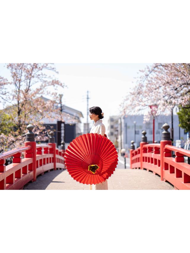 たらい舟からゆったり桜を楽しむ🌸岐阜県大垣市・水門川