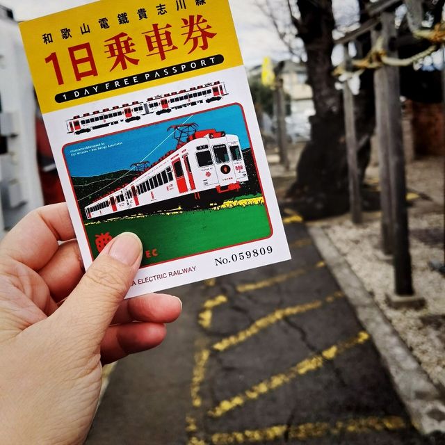 【貴志駅😺】來探探最可愛的駅站長——二代玉